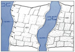 auwai irrigating amongst a rock outcropping