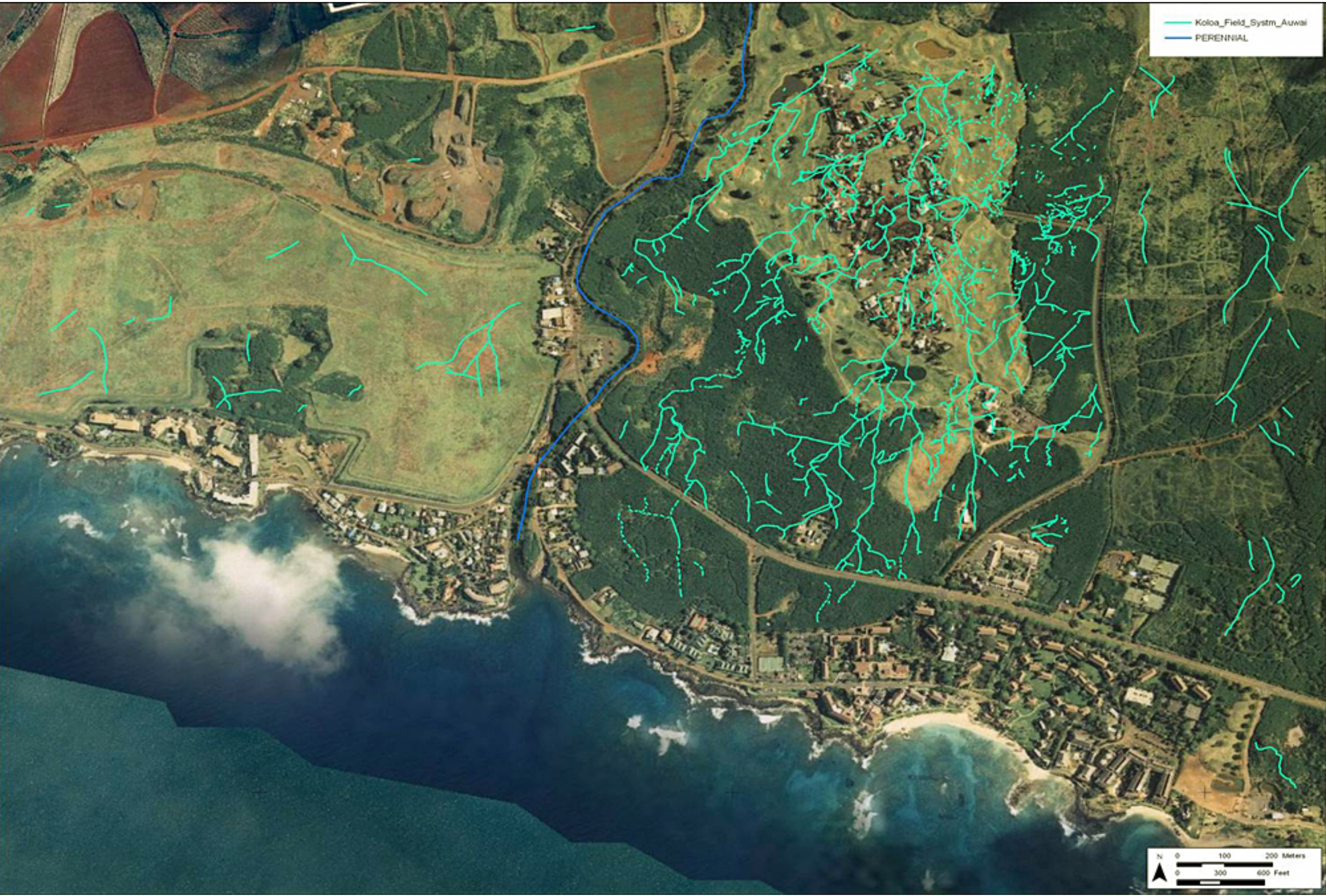Google earth aerial image of the Koloa Field system the lies between the Ha'upu Range and Po'ipu-Kukui'ula coastline, superimposed with the 'auwai system.
