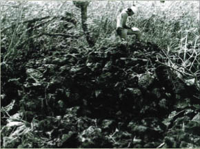 man standing on rock pile at Wahi Pana